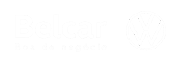 Belcar VW